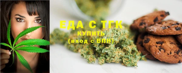 индика Куртамыш