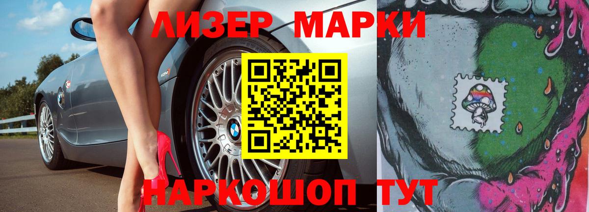 МЕФ Светлоград