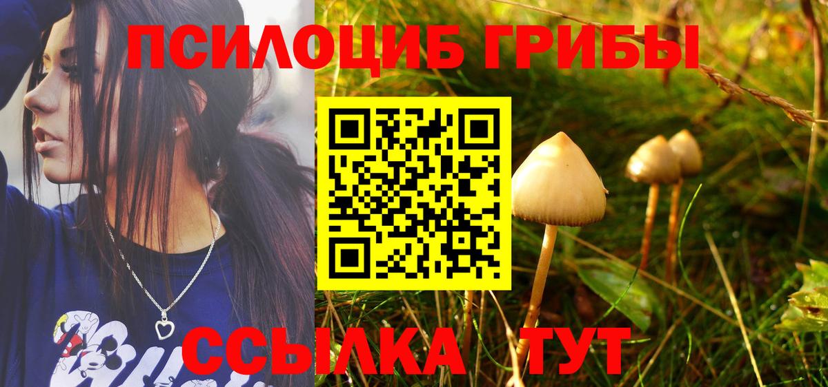Галлюциногенные грибы мухоморы  Галлюциногенные грибы Magic Shrooms  Светлоград  Вход с VPN 