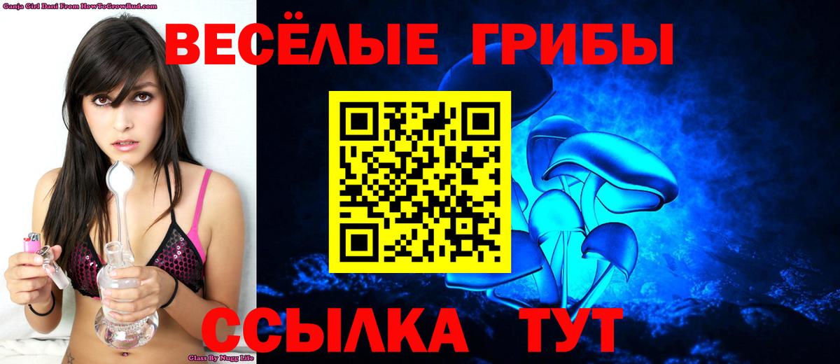 Галлюциногенные грибы ЛСД  Псилоцибиновые грибы GOLDEN TEACHER  Светлоград 